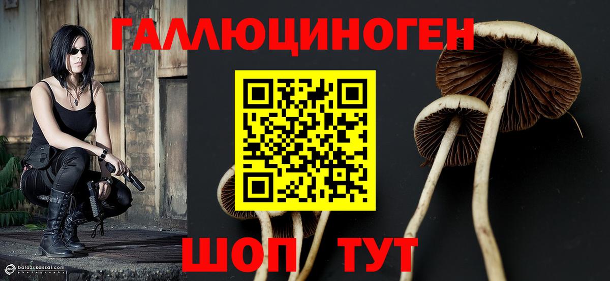 Псилоцибиновые грибы Cubensis  Вход с VPN  магазин продажи   Псилоцибиновые грибы Cubensis  Азнакаево 